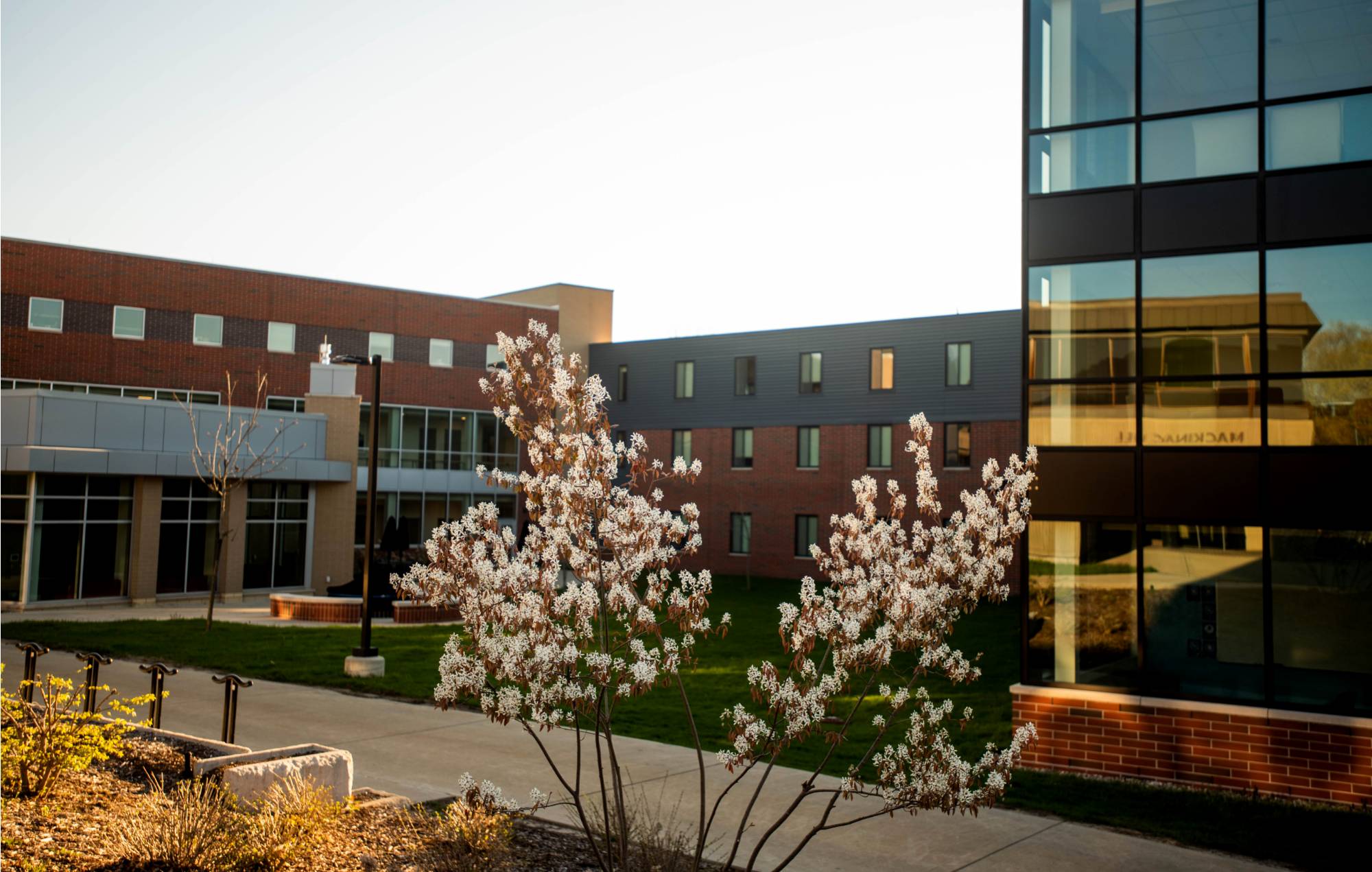 Campus buildings